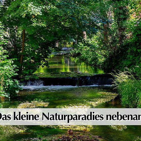 Stadtperle am plätschernden Wasser - 50m2 Zweiraumwohnung in zentraler Lage Erfurt Exterior foto